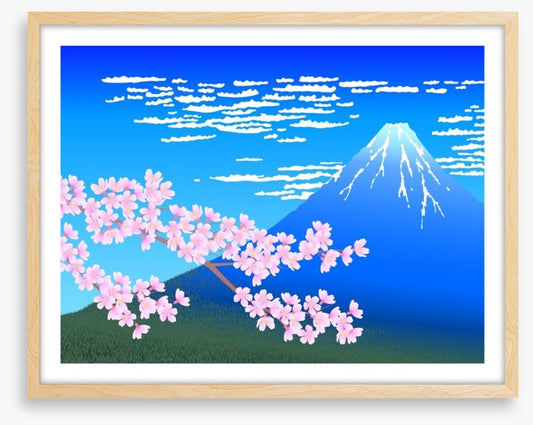 Blue mountain blossom