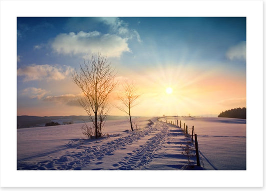 A winters day