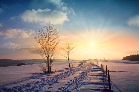 A winters day