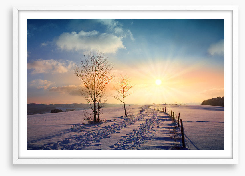 A winters day