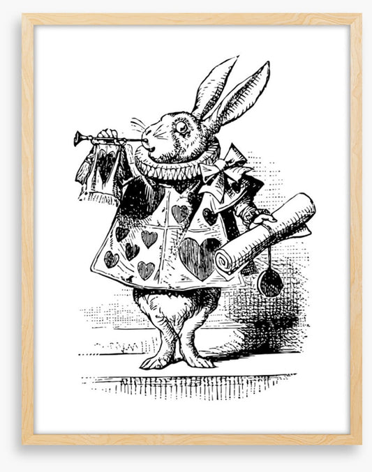 The White Rabbit