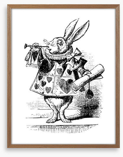 The White Rabbit