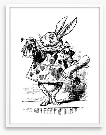 The White Rabbit
