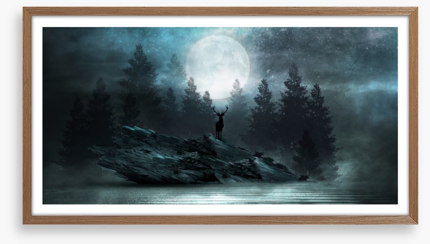 Below the moon glow