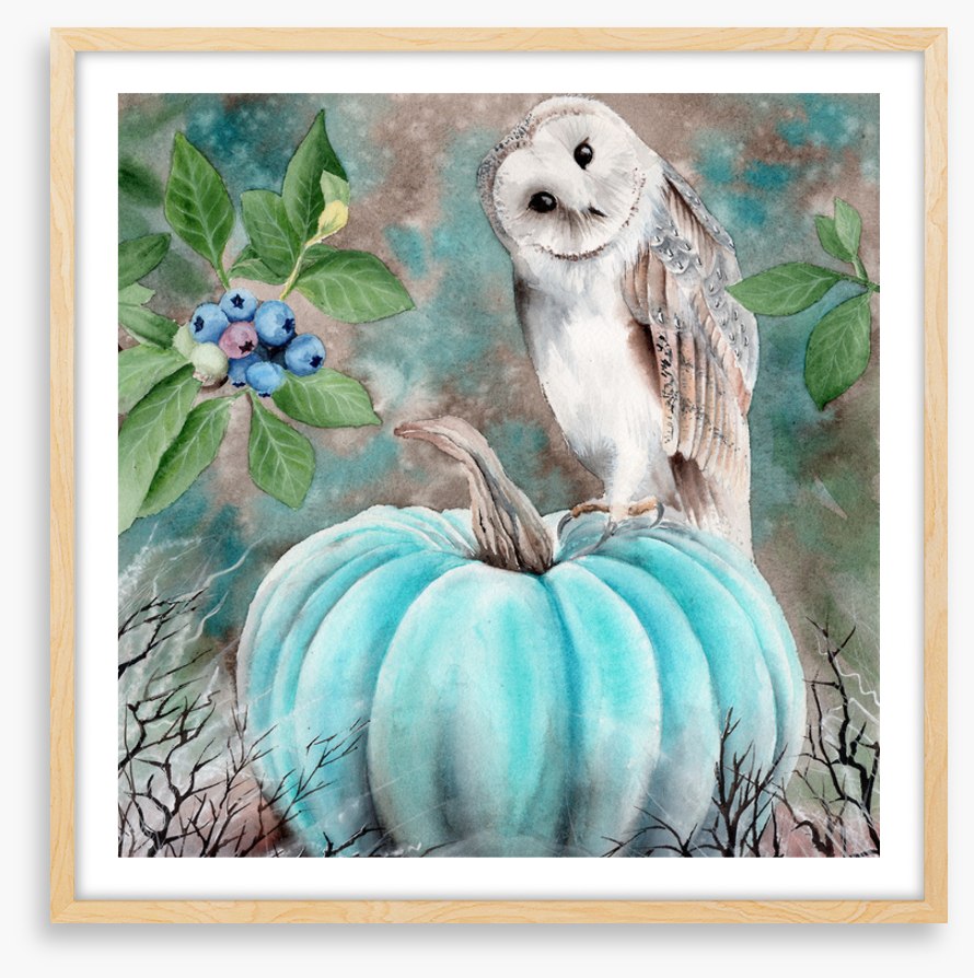 The pumpkin owl