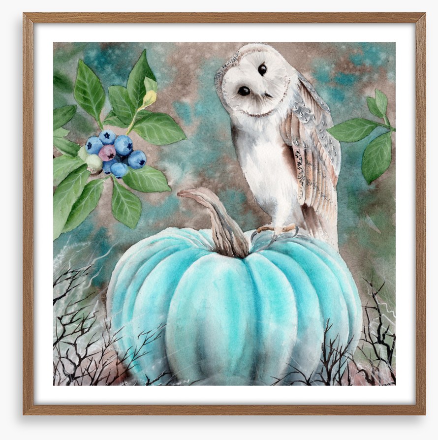 The pumpkin owl