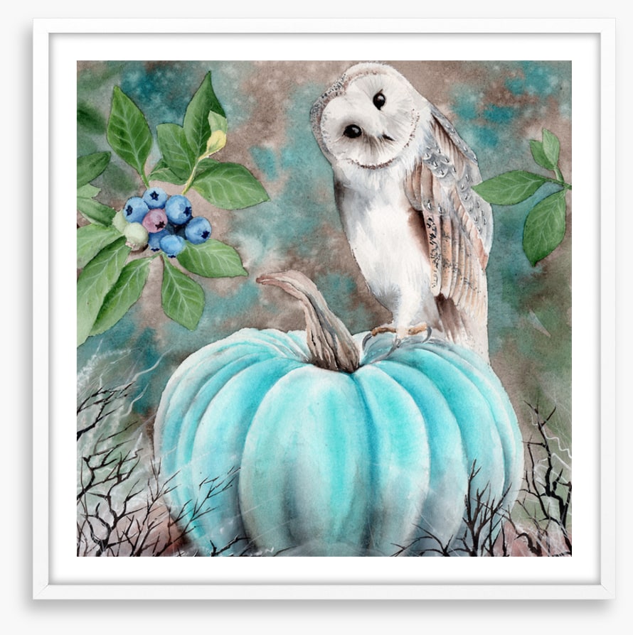 The pumpkin owl