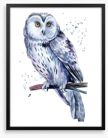 Birds