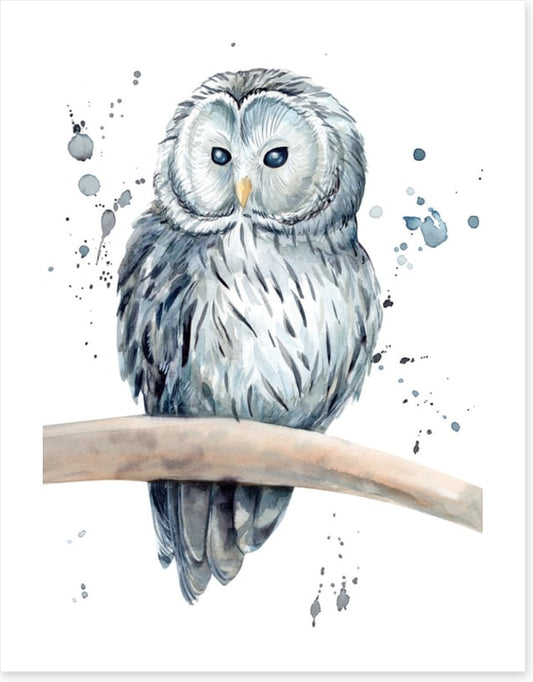 Snowy owl splash