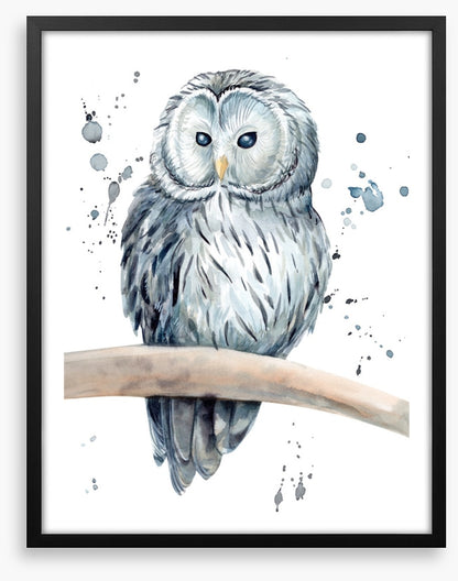 Snowy owl splash