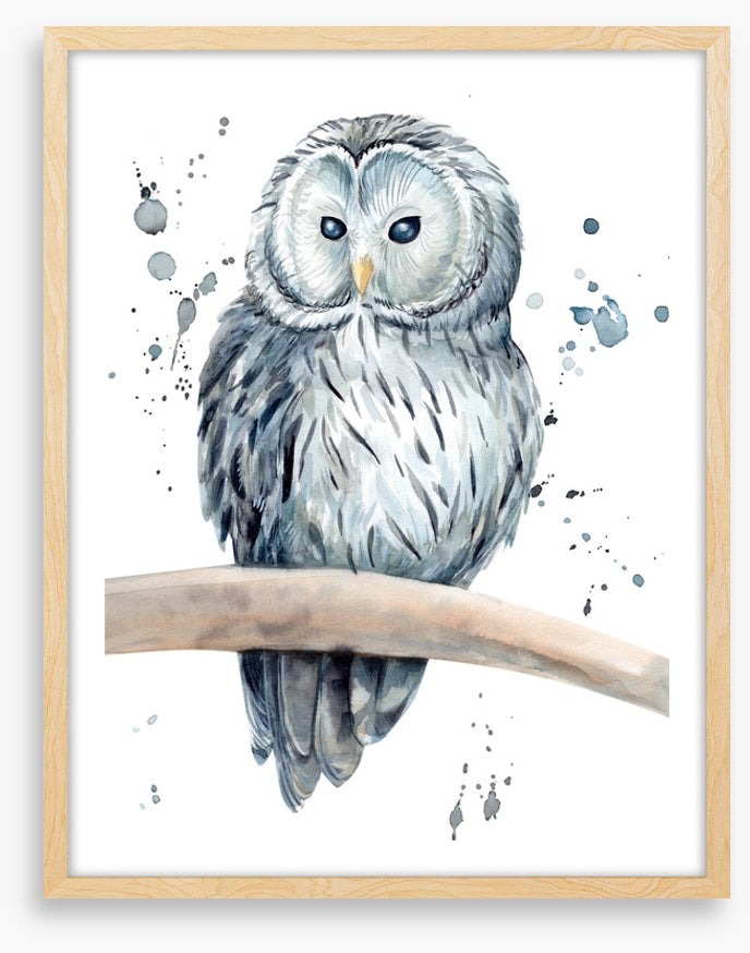 Snowy owl splash