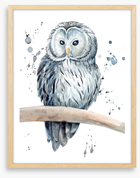 Snowy owl splash