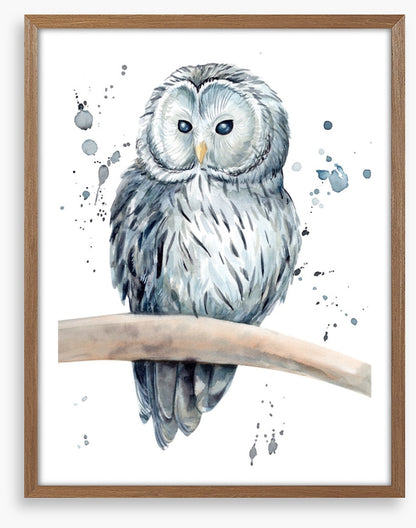 Snowy owl splash