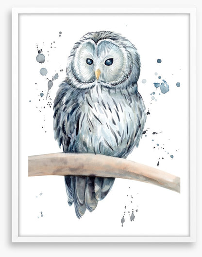 Snowy owl splash