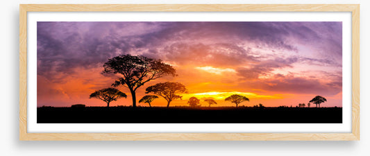 Below the setting sun