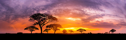 Below the setting sun