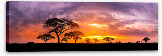 Below the setting sun