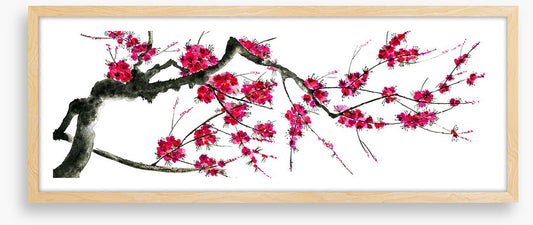 Plum mei panoramic