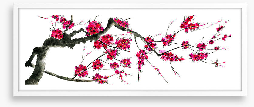 Plum mei panoramic