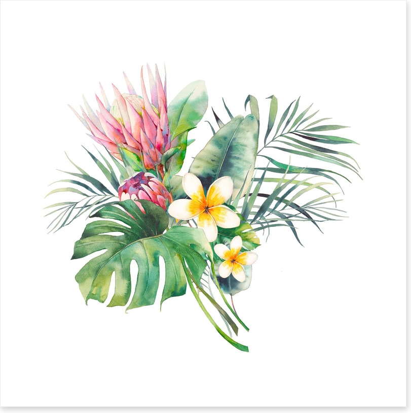 Protea in the palms II