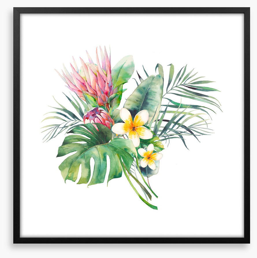 Protea in the palms II