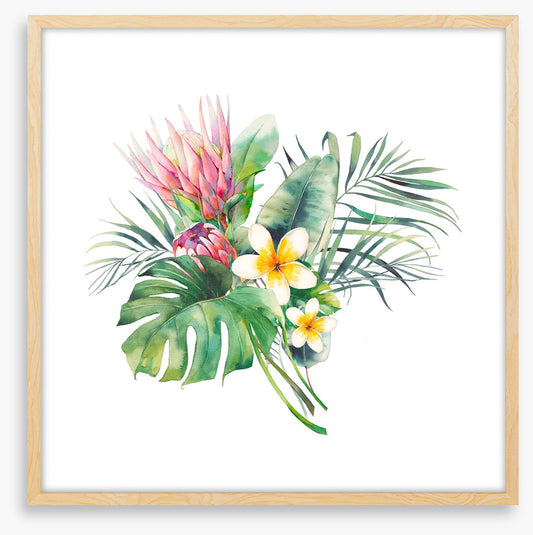 Protea in the palms II
