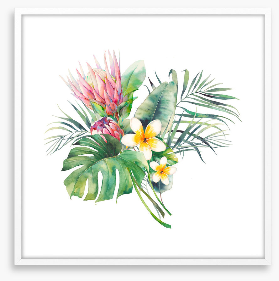 Protea in the palms II