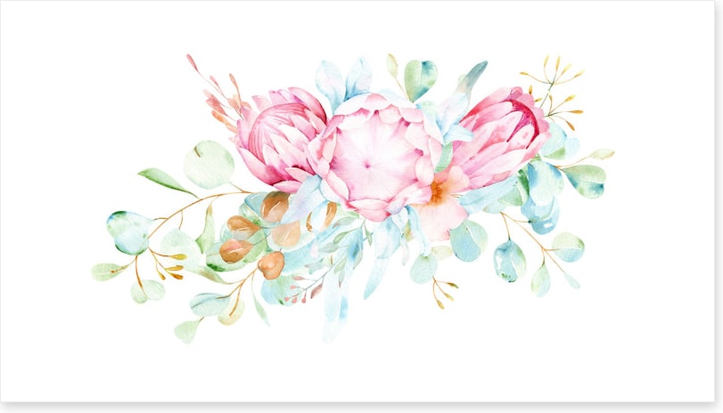Pretty protea