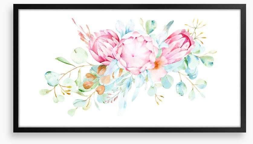 Pretty protea