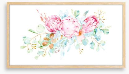 Pretty protea