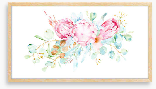 Pretty protea