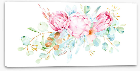Pretty protea