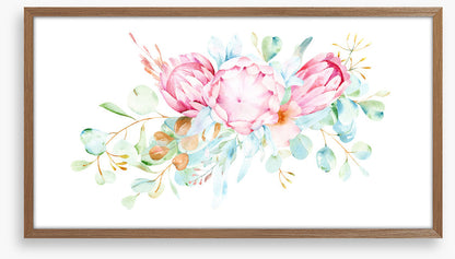 Pretty protea