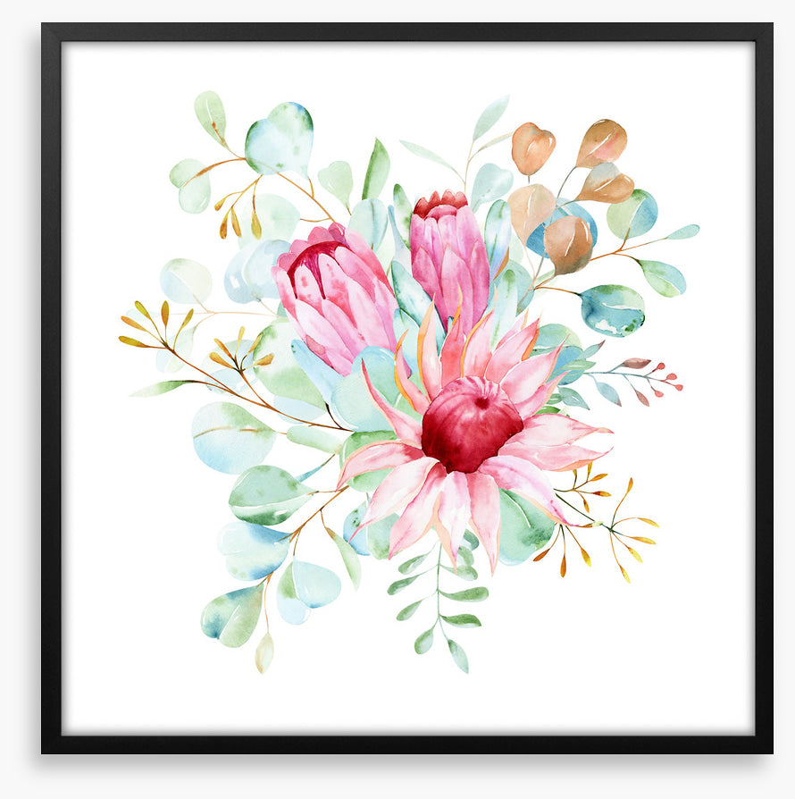 Protea petals II