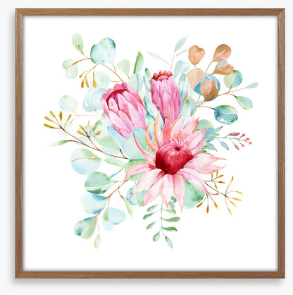 Protea petals II