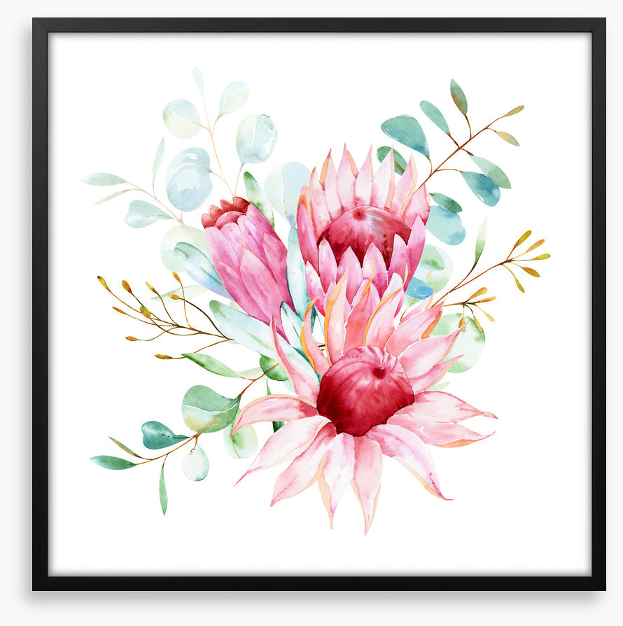 Protea petals I