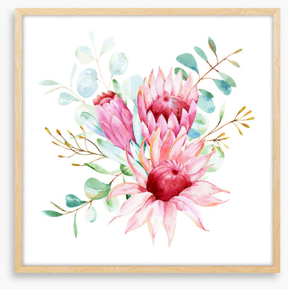 Protea petals I