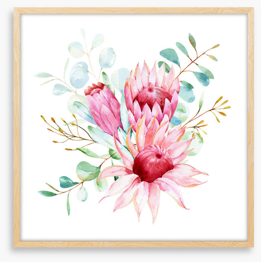 Protea petals I