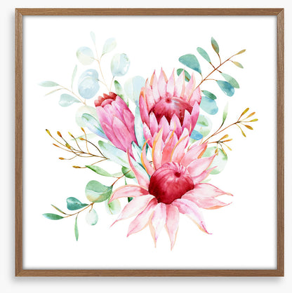 Protea petals I