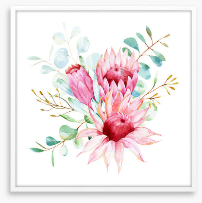 Protea petals I