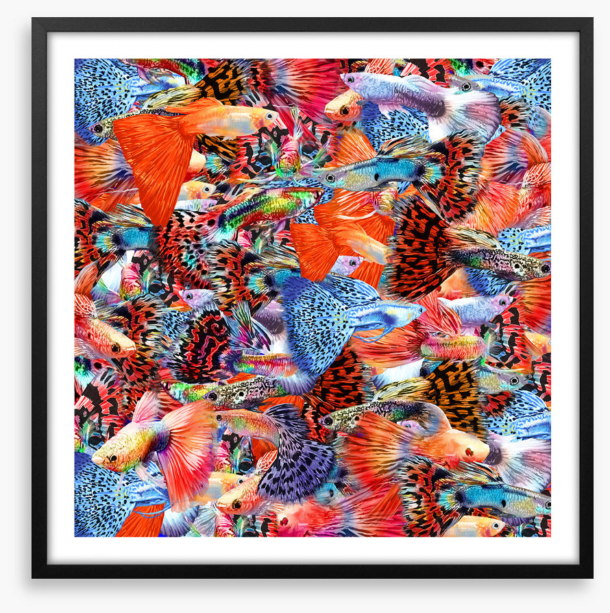 Plenty more fish II