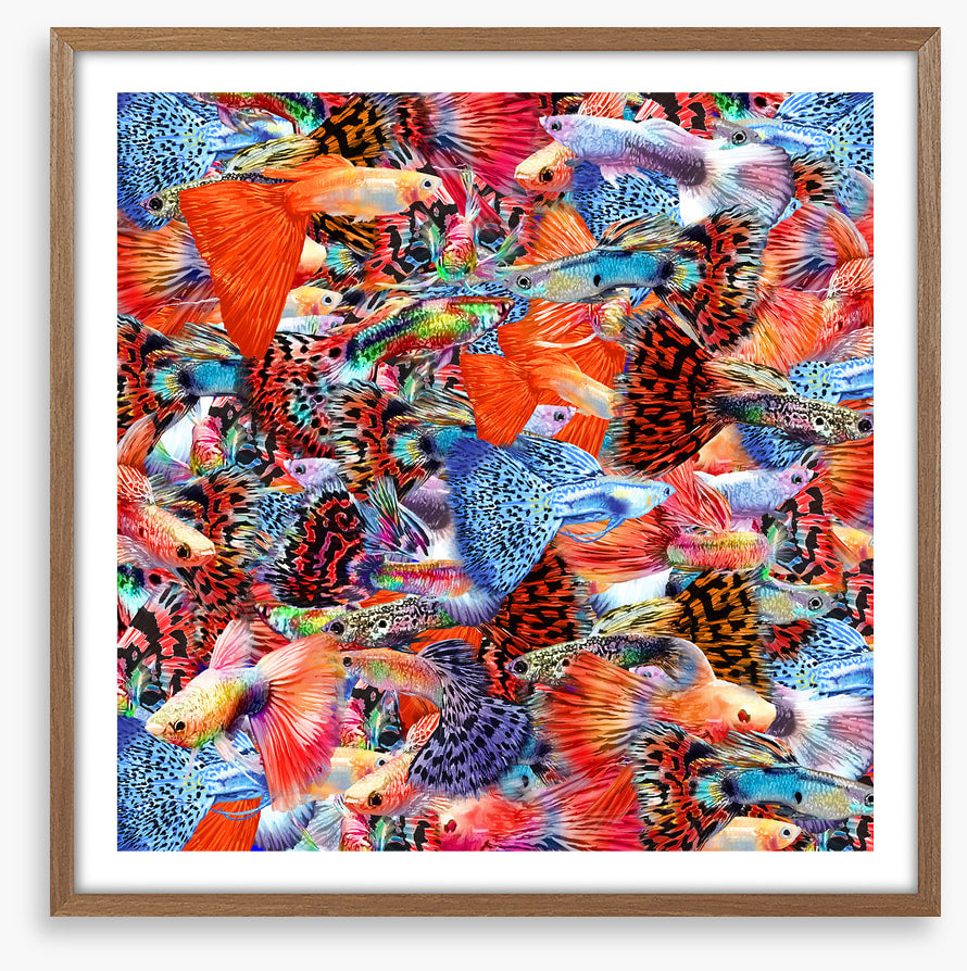 Plenty more fish II