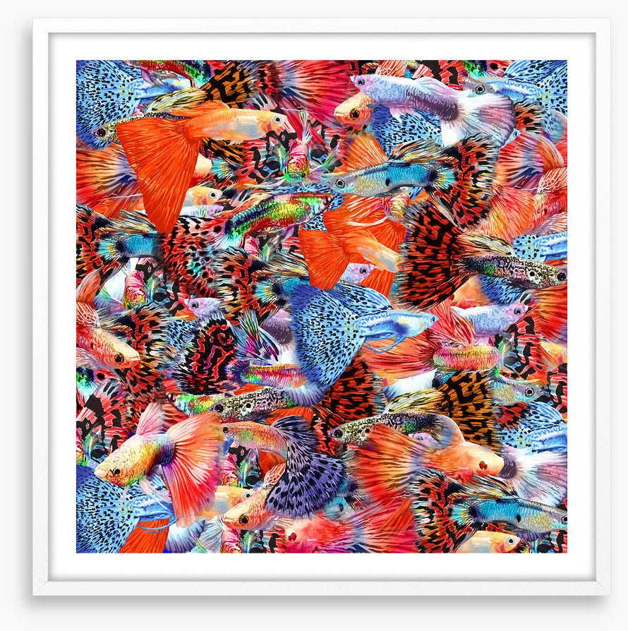 Plenty more fish II