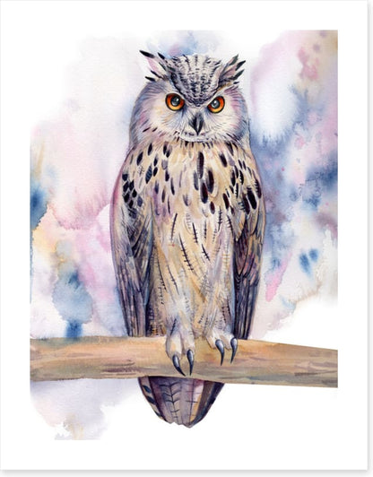 Birds