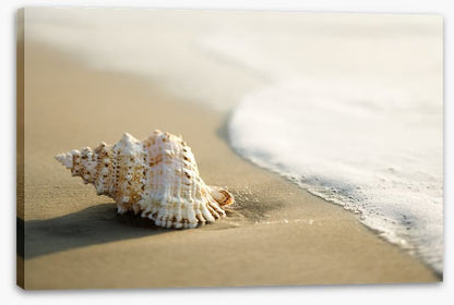 Just washed up