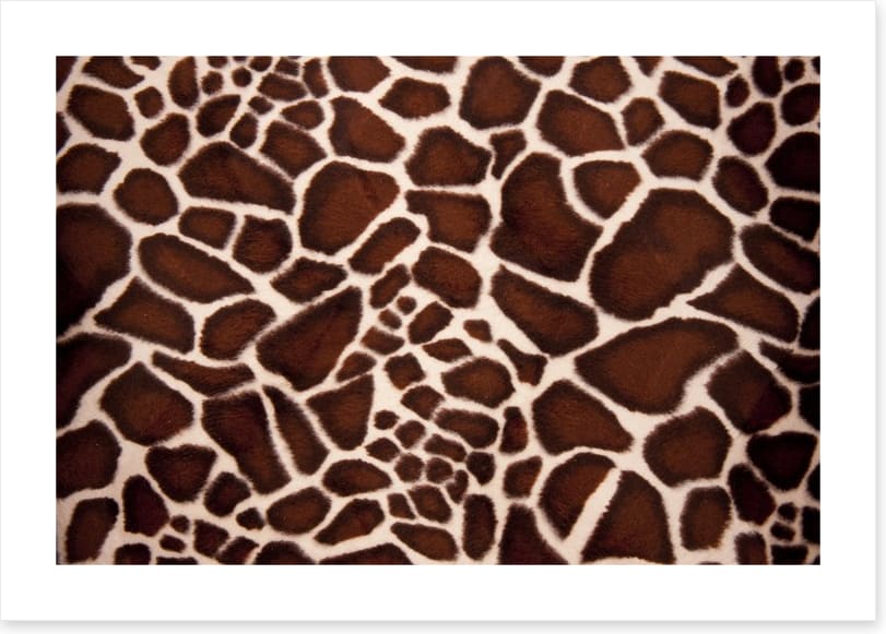 Animal Print