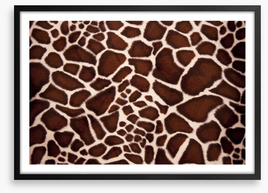 Animal Print