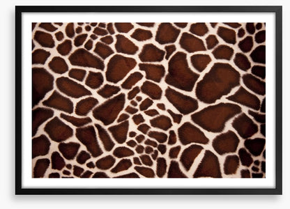 Animal Print