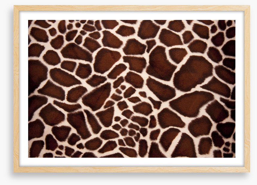 Animal Print