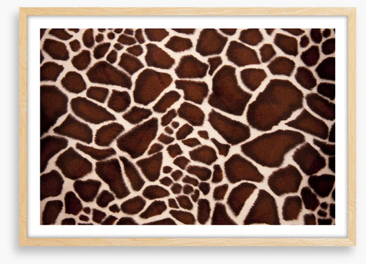Animal Print